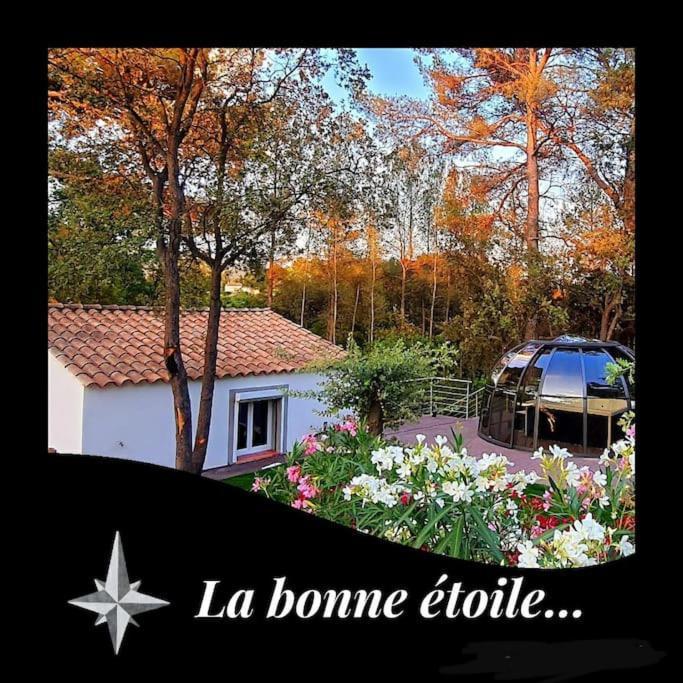 La Bonne Etoile Marseille ! Hebergement Romantique ! Jacuzzi Et Piscine Exterior photo